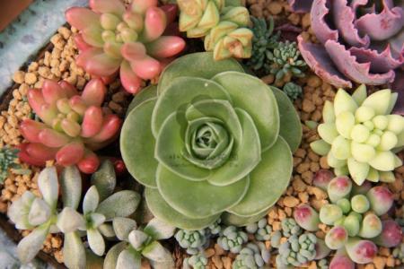 ɽۿൺִŶ:йǻ۸ۿػ